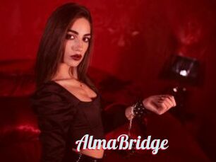 AlmaBridge