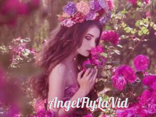 AngelFlyLaVid