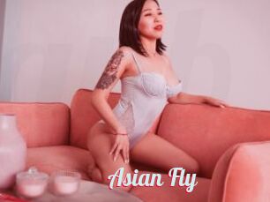 Asian_Fly