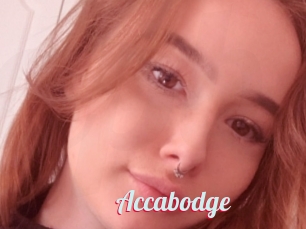 Accabodge