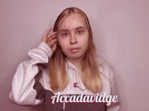 Accadavidge