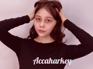 Accaharkey