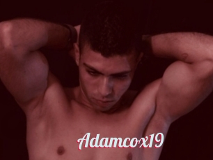 Adamcox19