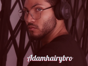 Adamhairybro