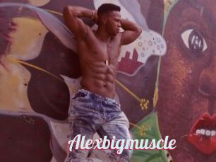 Alexbigmuscle