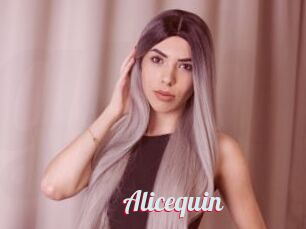 Alicequin