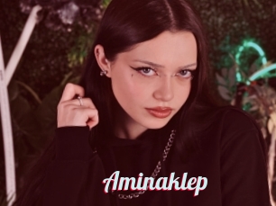 Aminaklep