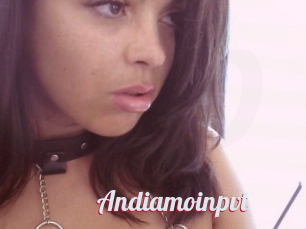 Andiamoinpvt