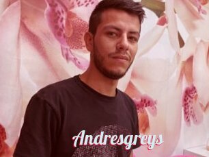 Andresgreys