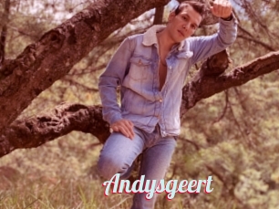 Andysgeert