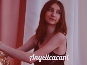 Angelicacant