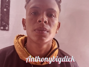 Anthonybigdick