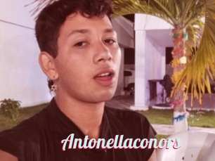 Antonellaconors