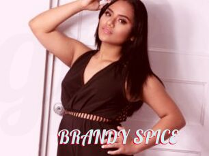 BRANDY_SPICE