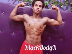 BlackBodyX