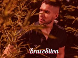 BruceSilva