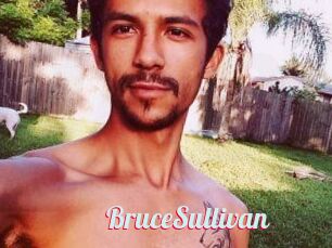 Bruce_Sullivan