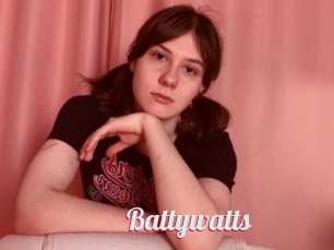 Battywatts