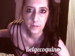 Belgecoquine