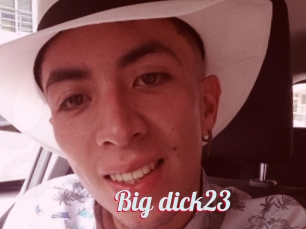 Big_dick23