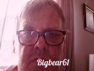 Bigbear61