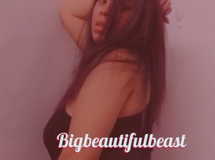 Bigbeautifulbeast