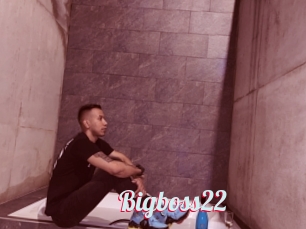 Bigboss22