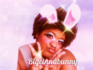 Bigcinnabunny