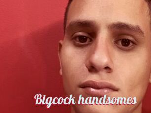 Bigcock_handsomes