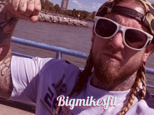 Bigmikesfit