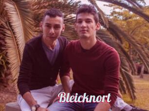 Bleicknort