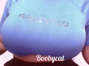 Boobycat