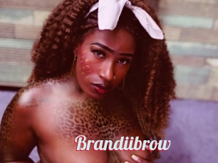 Brandiibrow