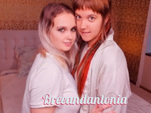 Breeandantonia