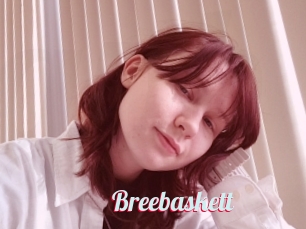 Breebaskett