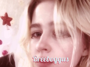 Breeboggus