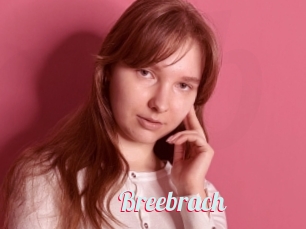 Breebrach