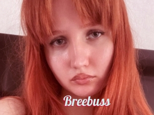 Breebuss