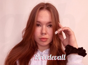 Breedevall