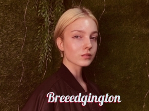 Breeedgington