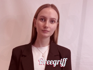 Breegriff