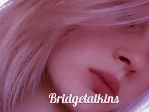 Bridgetalkins