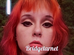 Bridgetarnet