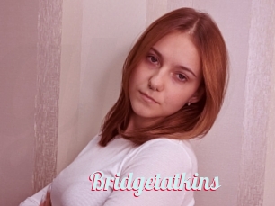 Bridgetatkins