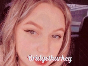 Bridgetharkey