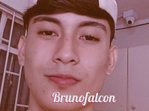 Brunofalcon