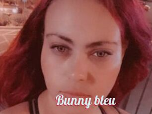 Bunny_bleu