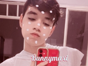 Bunnymaxi