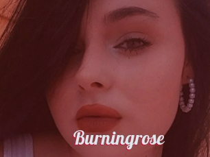 Burningrose