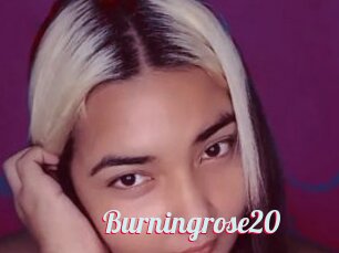 Burningrose20